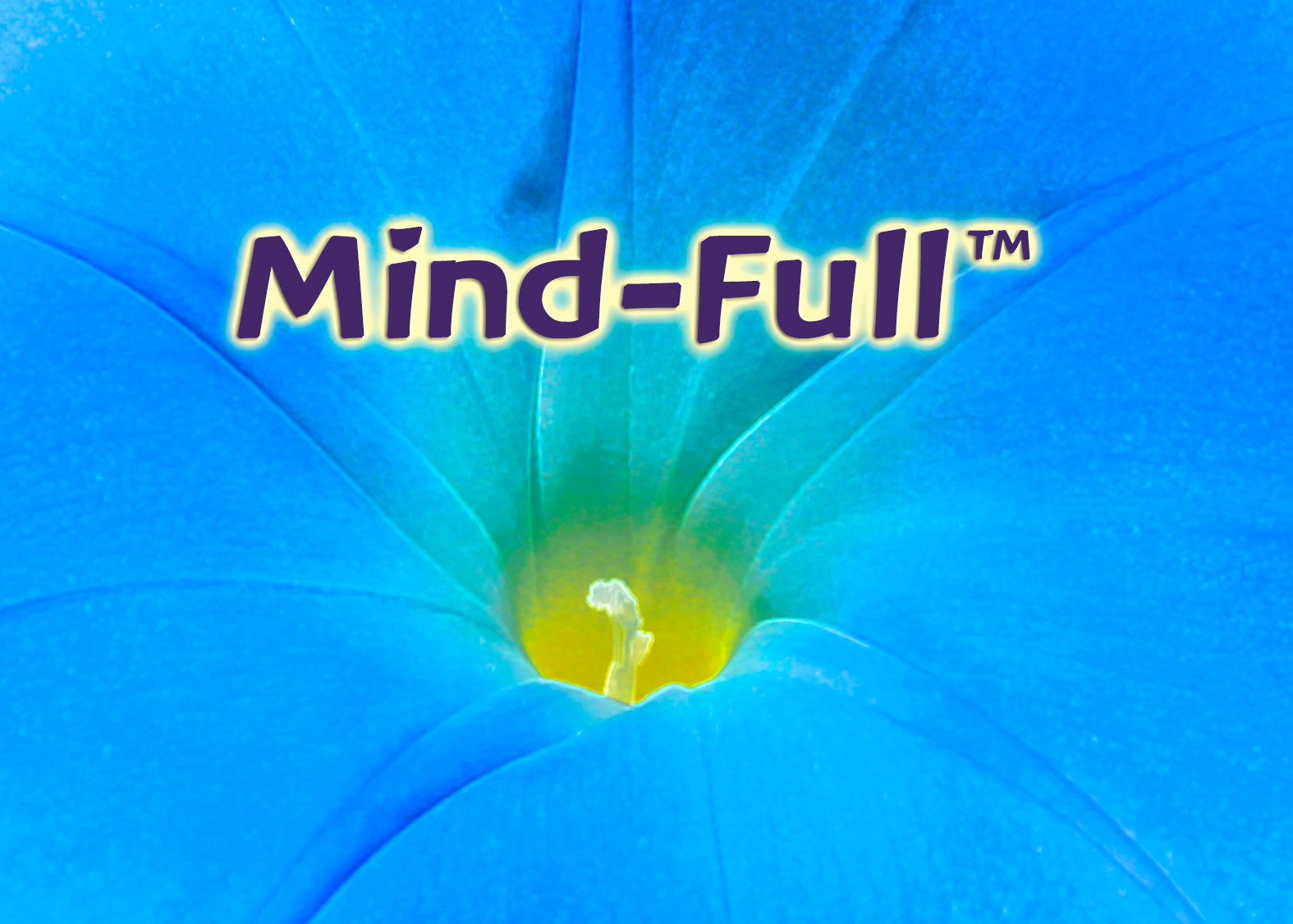 Mind-Full™