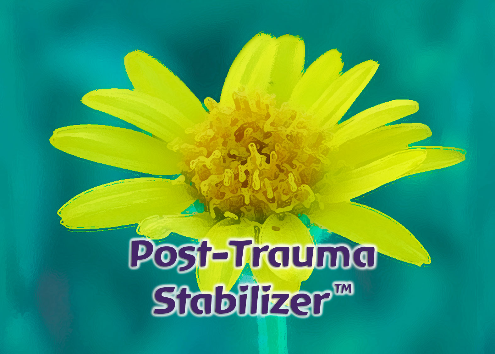 Post-Trauma Stabilizer™